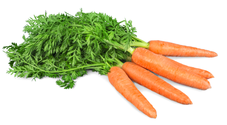 mpasi sayuran terbaik, manfaat wortel untuk bayi, mpasi bayam merah, zucchini untuk mpasi, daun kelor untuk bayi, menu mpasi sehat, tips mengenalkan sayur ke bayi, makanan pendamping asi alami, sayuran untuk imun anak, mpasi bayi sehat, Bunda, si Kecil